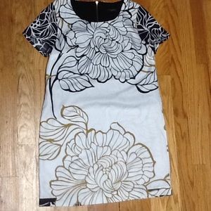 Women's XS Petite Sheath Dress, VGUC